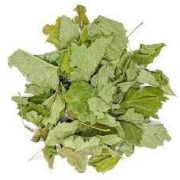 Смородина лист Травники