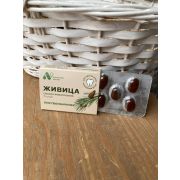 Смолка жевательная «Живица», блистер 0,8 г №5, в инд. уп.