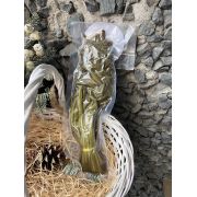 Папоротник соленый 0,3кг пакет