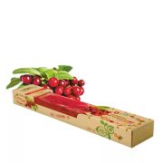 Мармелад из натуральных ягод на фруктозе БРУСНИКА, 100 гр