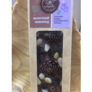 ТК Шоколад молочный  с сосновой шишкой, черникой и кедровым орехом 25гр.
