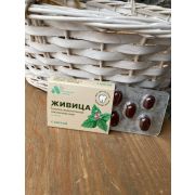 Смолка жевательная «Живица» (с мятой), блистер 0,8 г №5, в инд. уп.