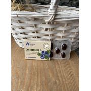 Смолка жевательная «Живица» (с черникой), блистер 0,8 г №5, в инд. уп.